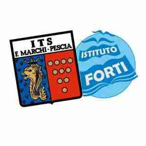 Realizzazione siti web Pescia marchi forti