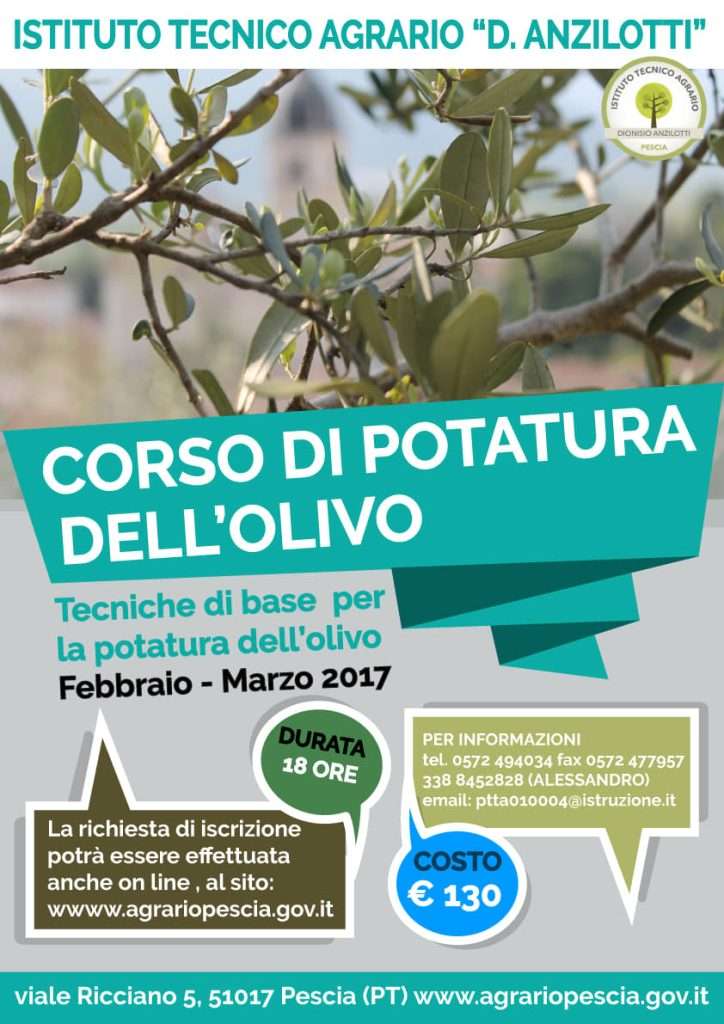 Corso di potatura dell'olivo pescia
